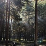 Даурен Куруглиев